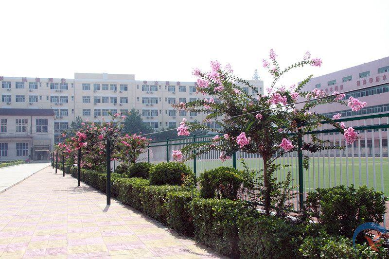 去臨沂藝術學校學舞蹈專業好嗎? 去臨沂藝術學校學舞蹈專業好嗎?