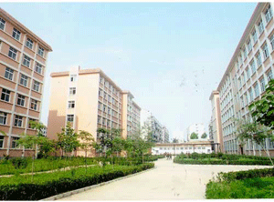 ɽ|ЌW(xu)t(y)ČW(xu)У᣿