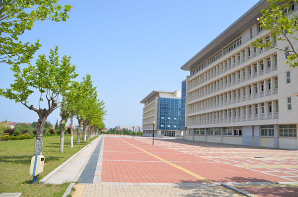 ɽ|ʡз(w)g(sh)W(xu)ԺЩW(xu)ƣҪЩ