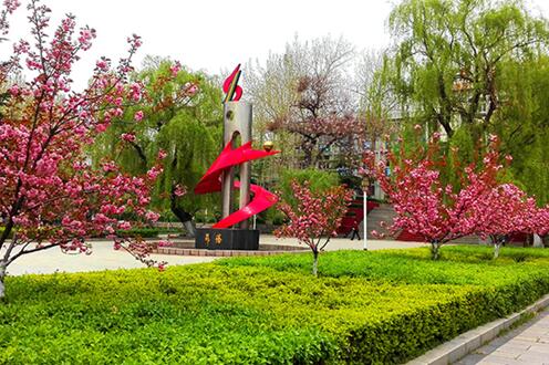 齊魯技術學院關于2018年錄取情況進行總結 齊魯技術學院關于2018年錄取情況進行總結