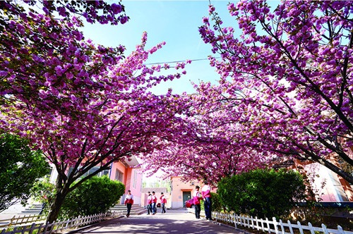 ɽ|AIеȌIWУWWԺУЩ