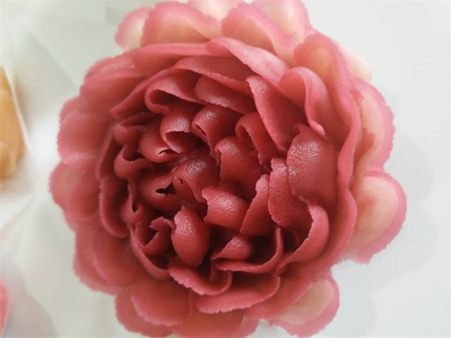 _(ti)˹ٸc(din)Ӗ(xn)W(xu)Уnʽѻ_s^