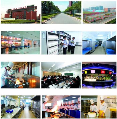 山東藍海職業學校有哪些專業? 山東藍海職業學校有哪些專業?