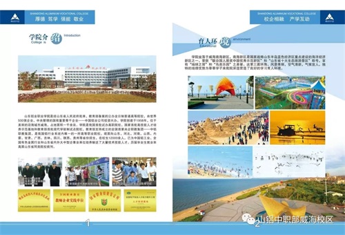 山東鋁業(yè)職業(yè)學(xué)院中職部告訴你中考后的選擇 山東鋁業(yè)職業(yè)學(xué)院中職部告訴你中考后的選擇