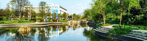 ɽ|ތW(xu)Ժôӣд߿᣿