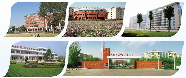 ʲôɽ|F߿ӖôӣӖҎ᣿