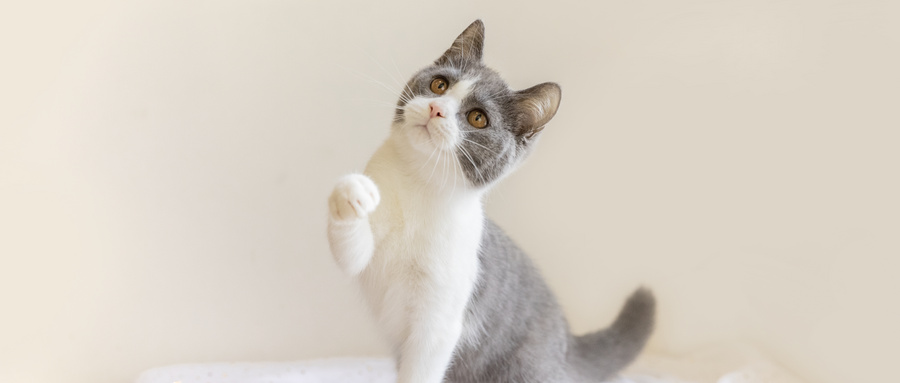 xʲôI(y)þ͘I(y)@ЩI(y)I(y)ȱСX;