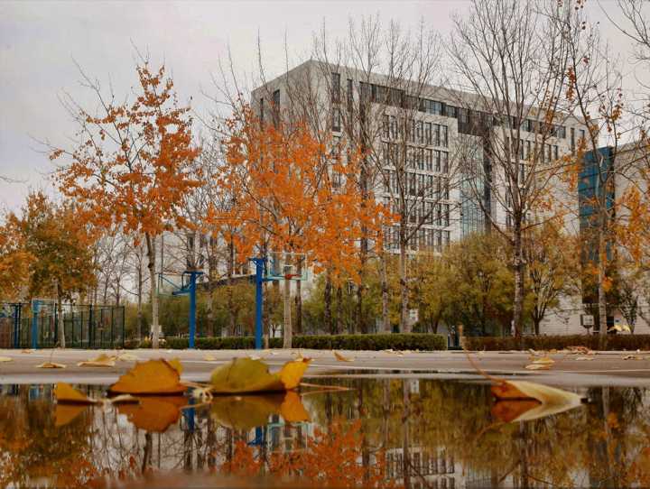 ɽ|̼WԺӆΰ߀Ҫԇ