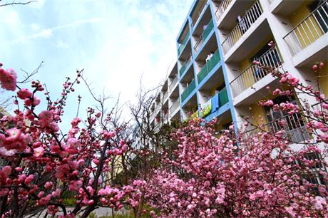 青島求實職業技術學院好不好?有什么優勢? 青島求實職業技術學院好不好?有什么優勢?