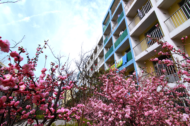 u(sh)I(y)g(sh)W(xu)Ժo(h)W(xu)Ժ_O(sh)ЩI(y)