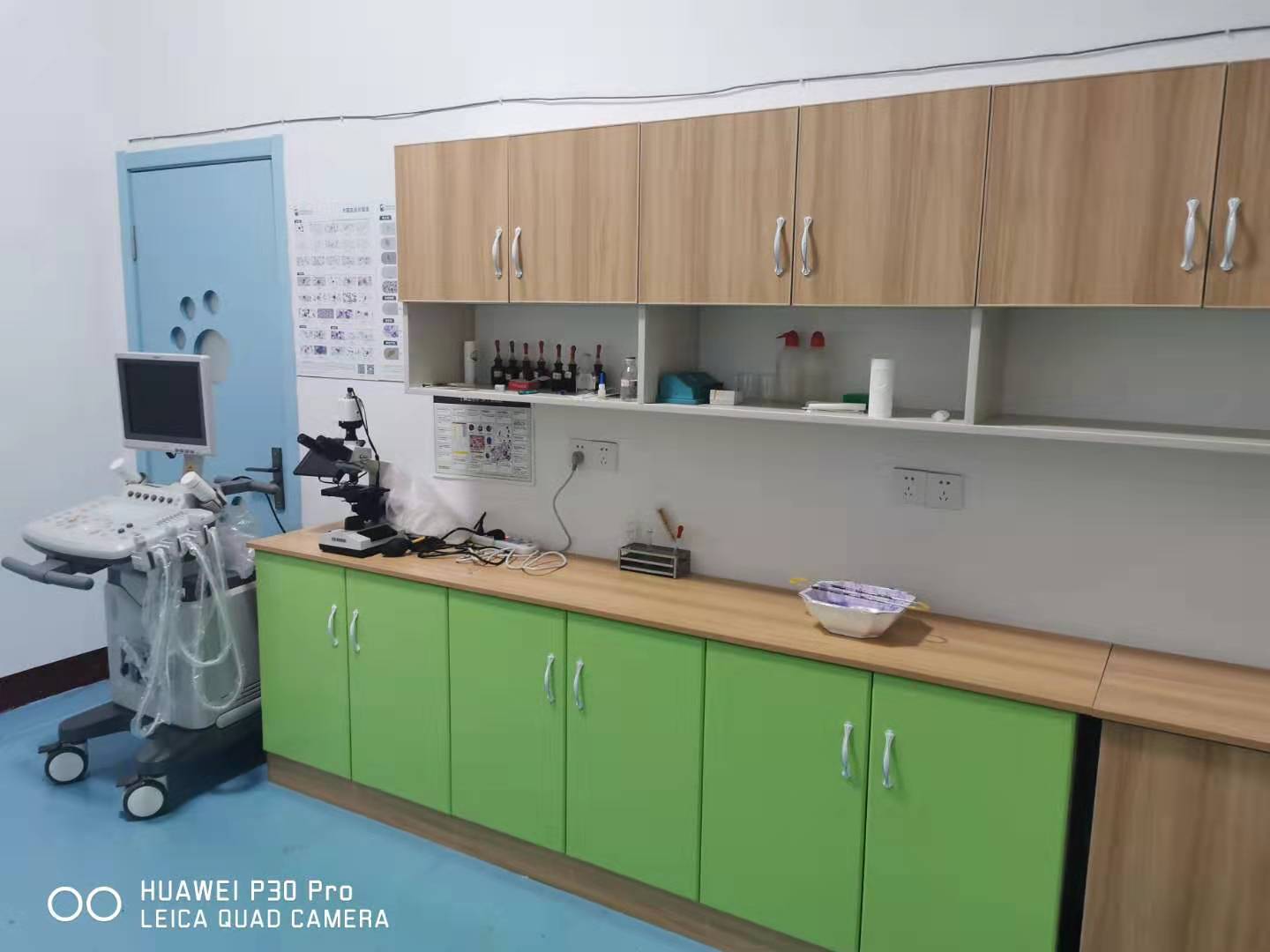 ɽ|ԪRFtӖWУ_OЩgӖn̰