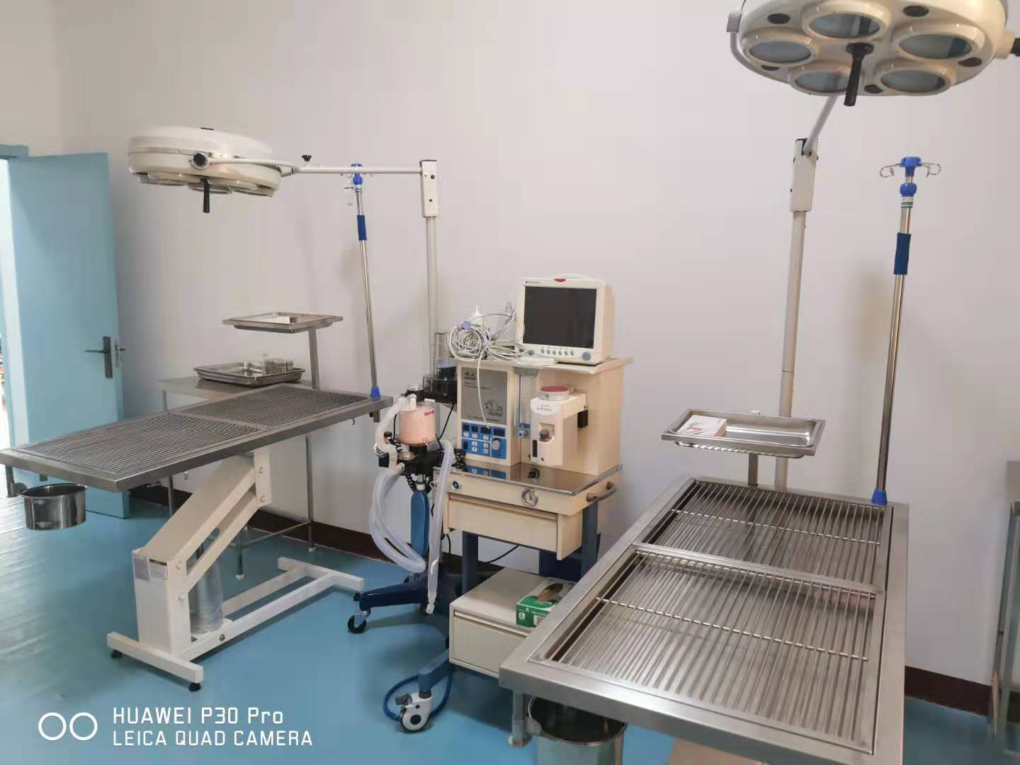 ɽ|ԪRFtӖWУRFtӖÆ᣿