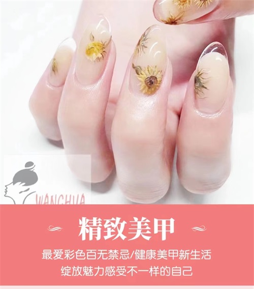 (j)y׌W(xu)УȫưÆ᣿